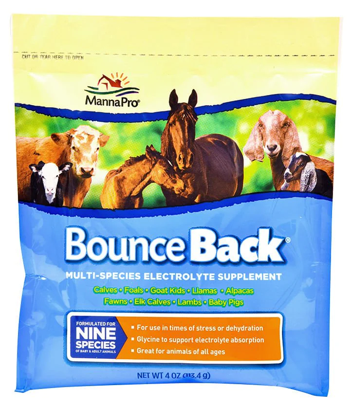 Bounce Back? Multi-Species Electrolyte Supplement - Nail Gallerys