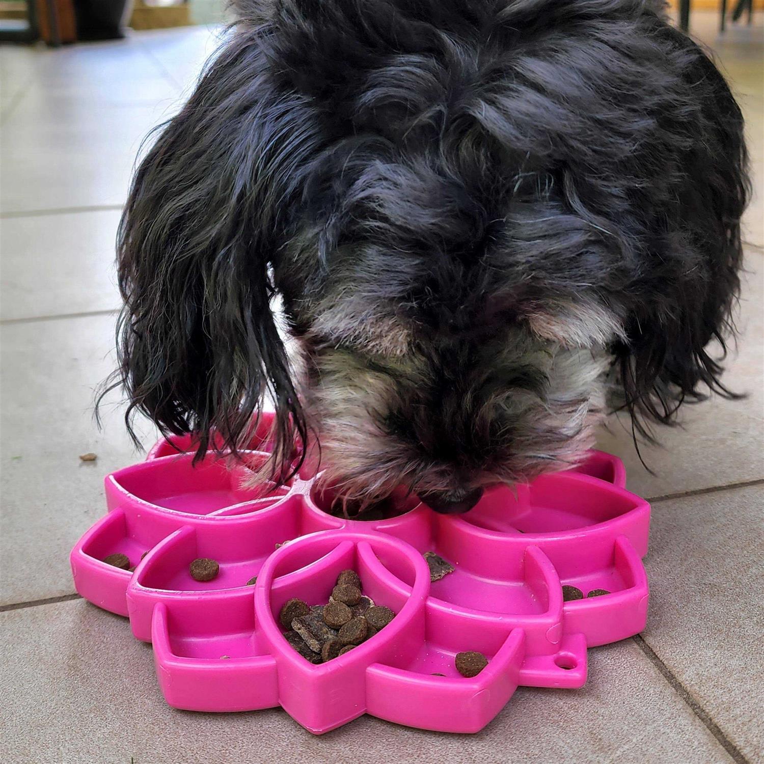 SodaPup Mandala Design eTray Enrichment Tray for Dogs - Nail Gallerys