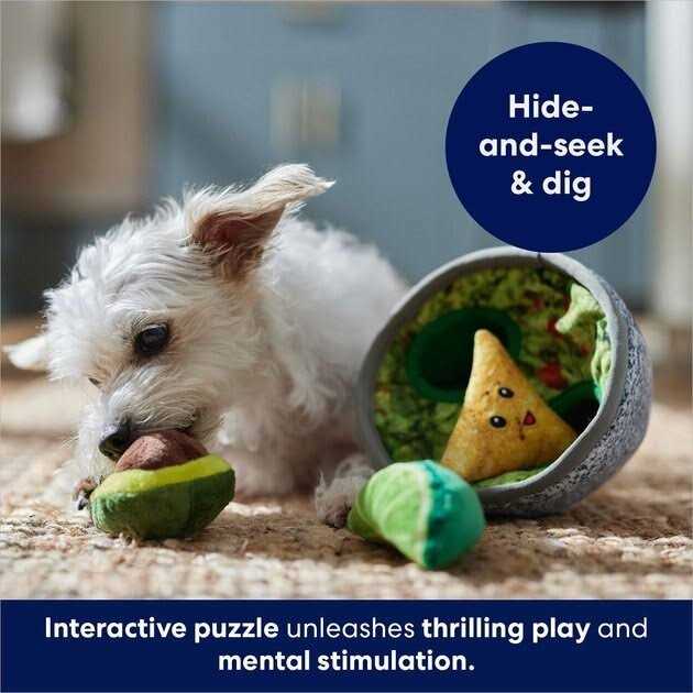 Frisco Guacamole Hide & Seek Puzzle Plush Squeaky Dog Toy - Nail Gallerys