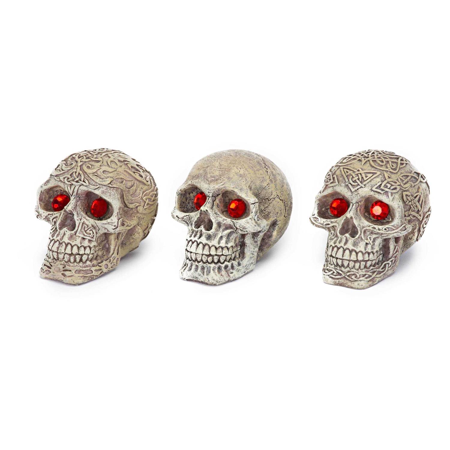 Penn Plax Deco-Replicas Skull Gazer Ornament Assorted Styles - Nail Gallerys