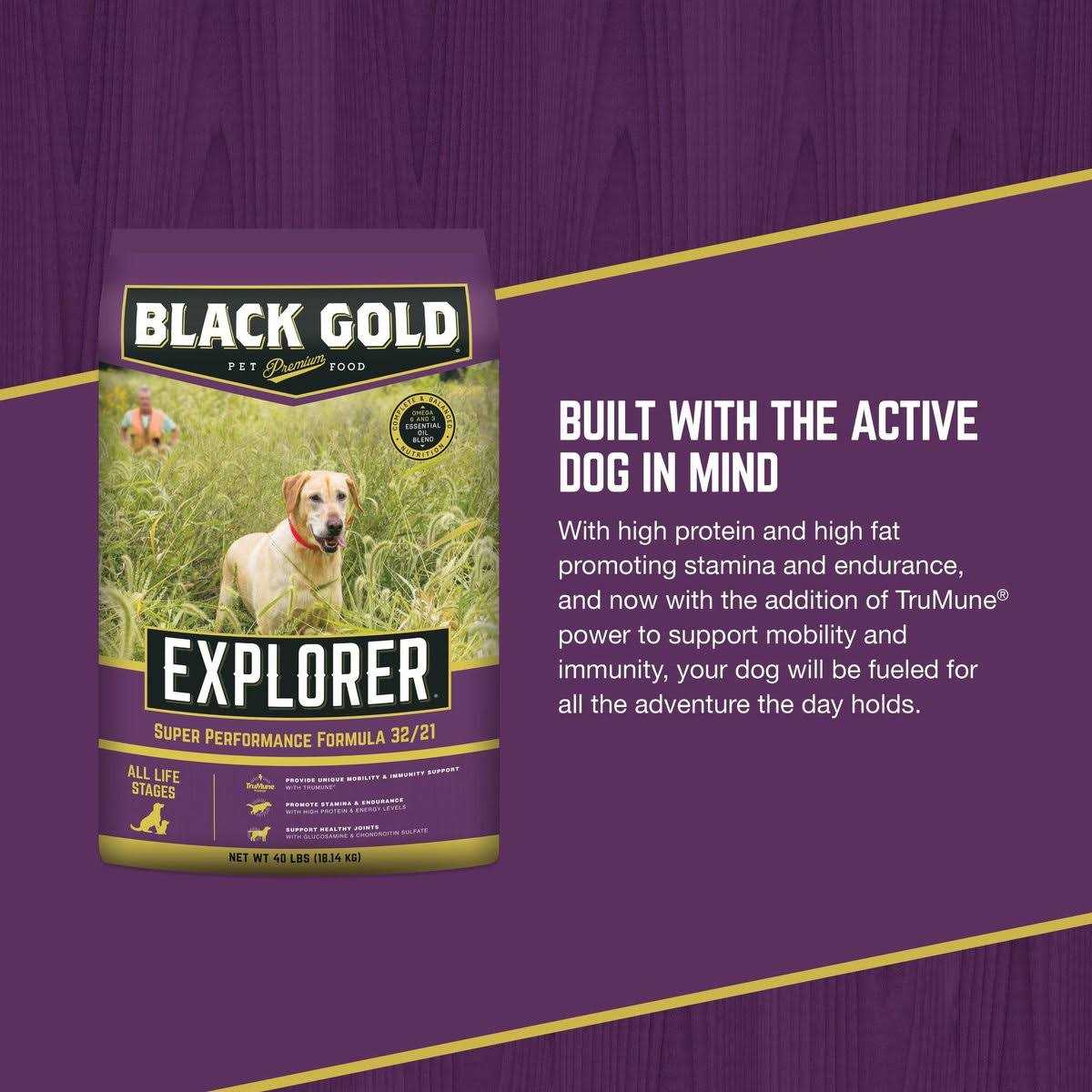 Black Gold Explorer Super Performance Formula Dry Dog Food - Nail Gallerys