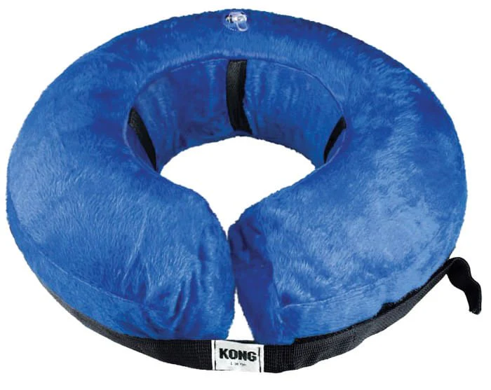 KONG Cloud Protective Pet Collar - Nail Gallerys