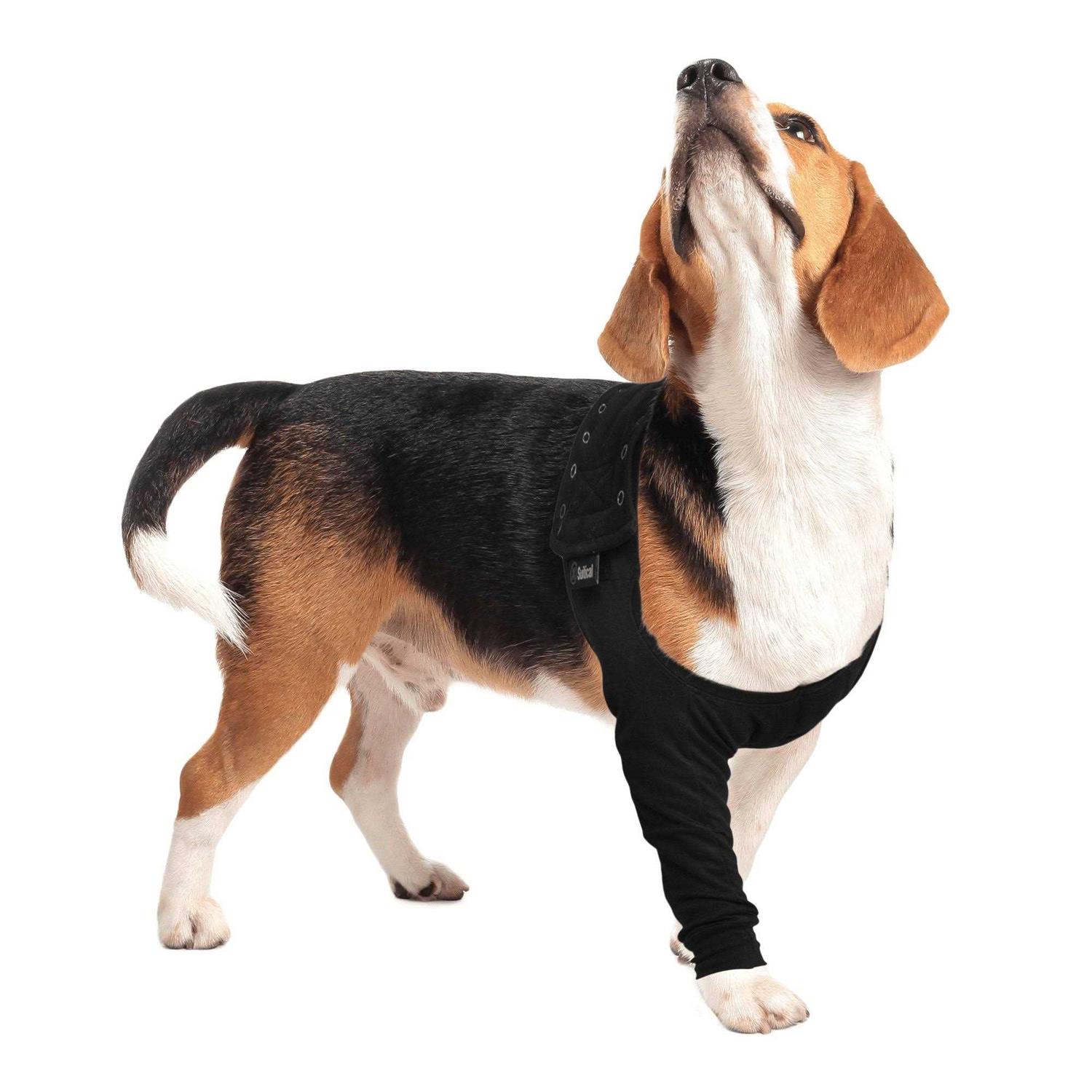 Suitical Dog Recovery Sleeve - Nail Gallerys