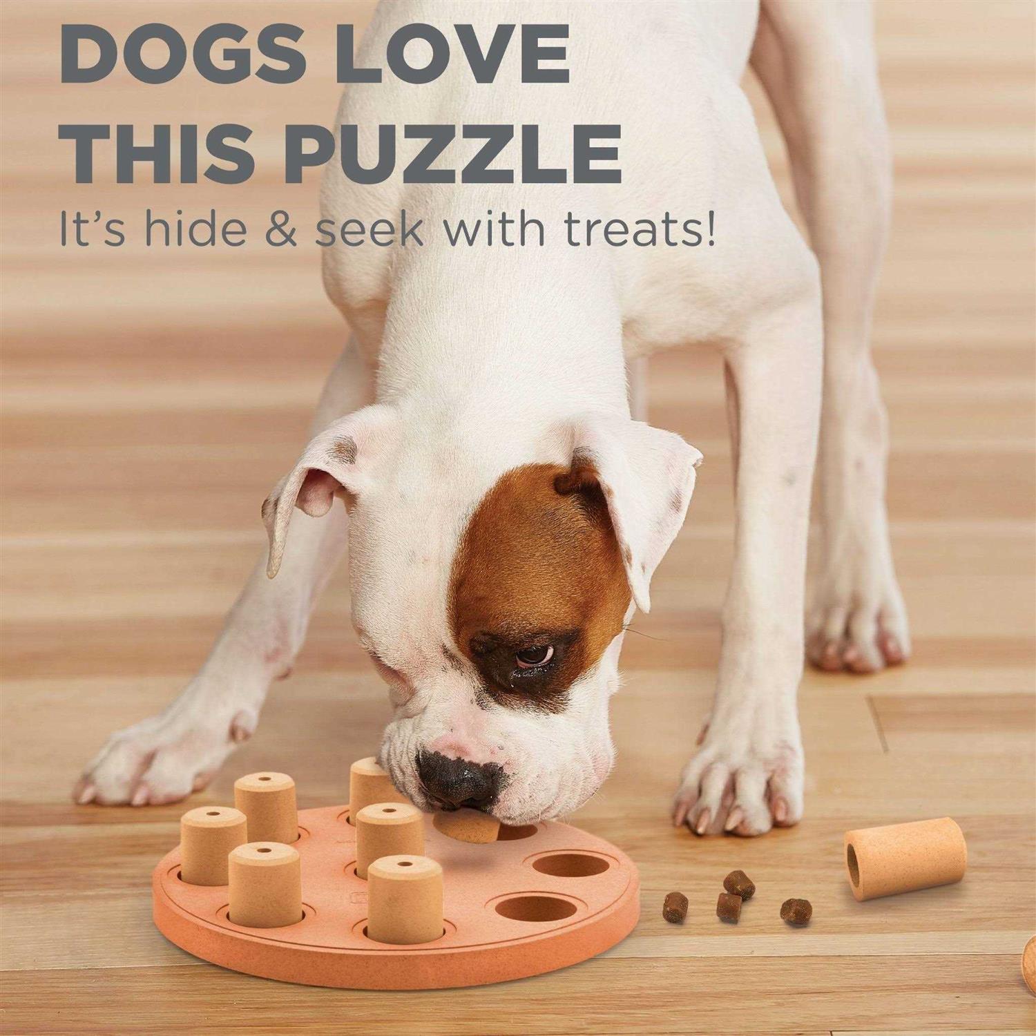 Outward Hound Nina Ottosson Dog Smart Composite Puzzle - Nail Gallerys