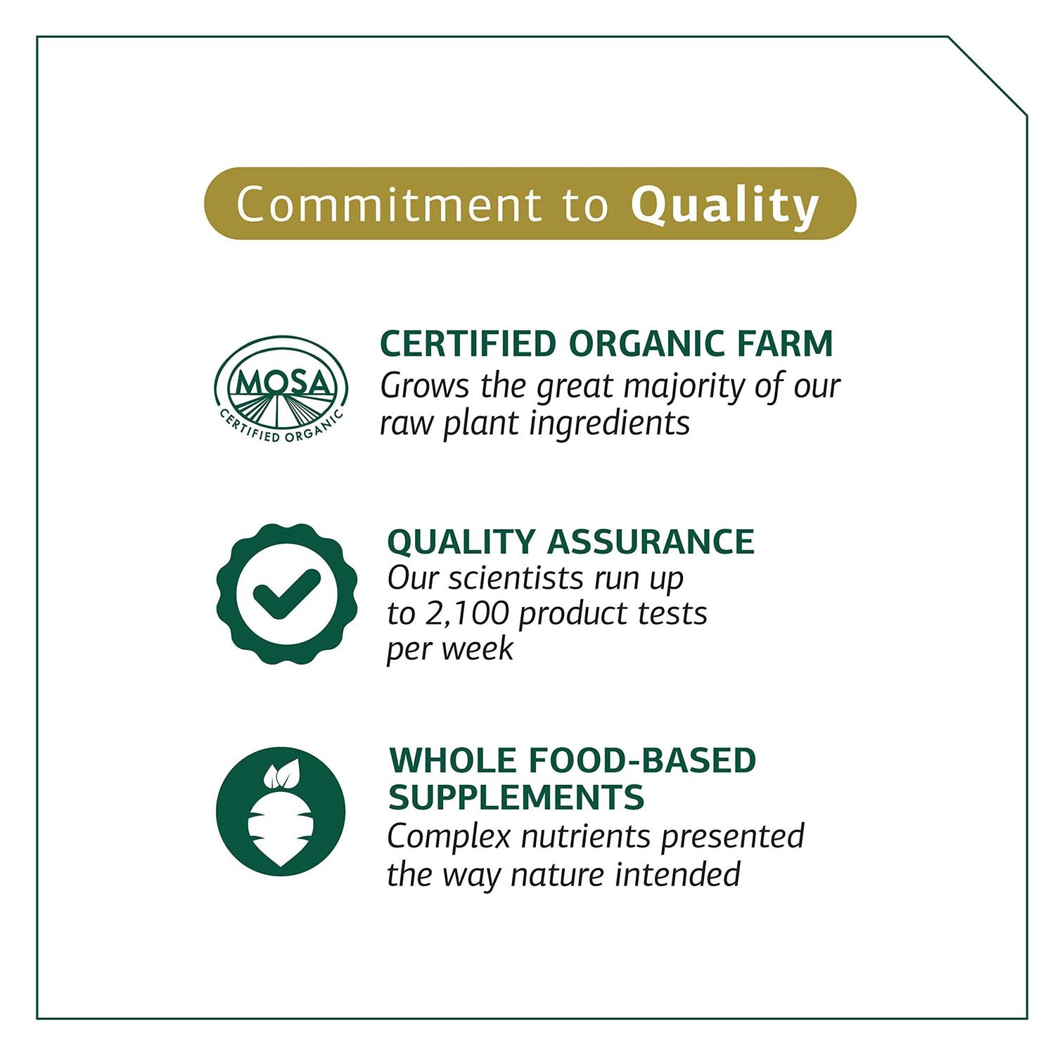 Feline Whole Body Support - Nail Gallerys