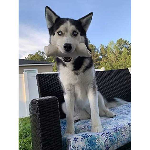 Hotspot Pets Natural White Knotted Rawhide Bone Dog Chew Treats - Nail Gallerys