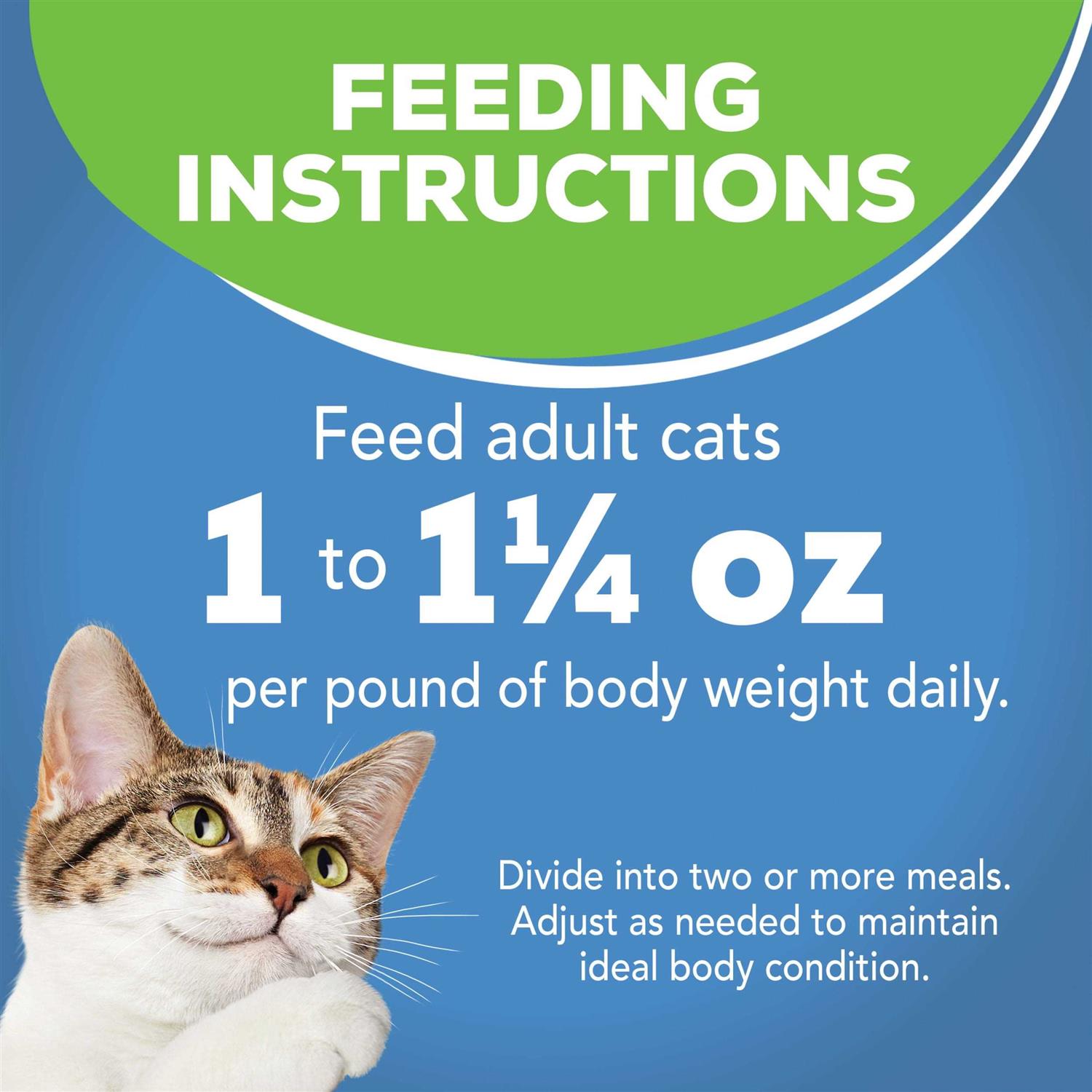 Friskies Indoor Flaked Ocean Whitefish Canned Cat Food - Nail Gallerys