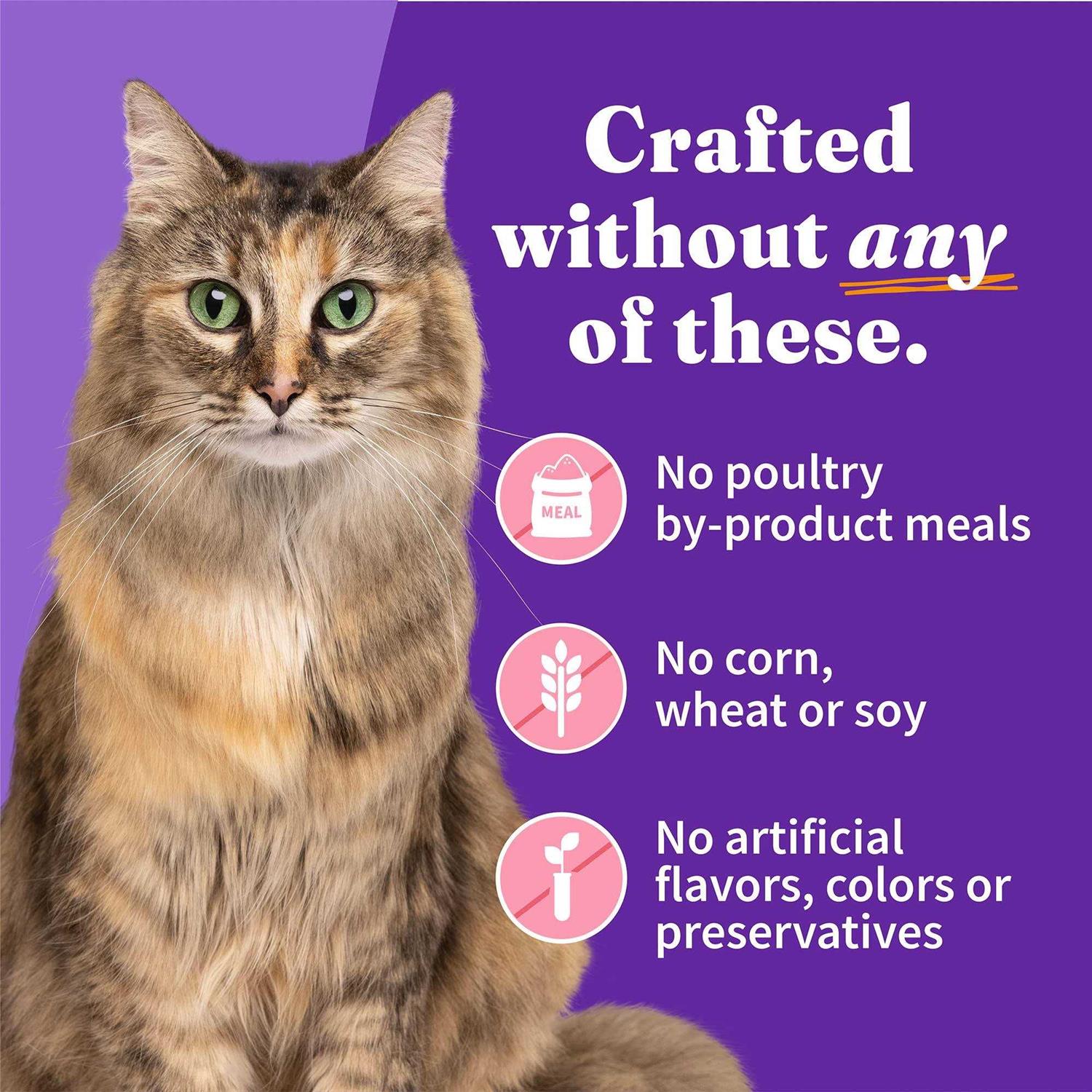 Halo Grain Free Salmon Stew Adult Cat Food - Nail Gallerys