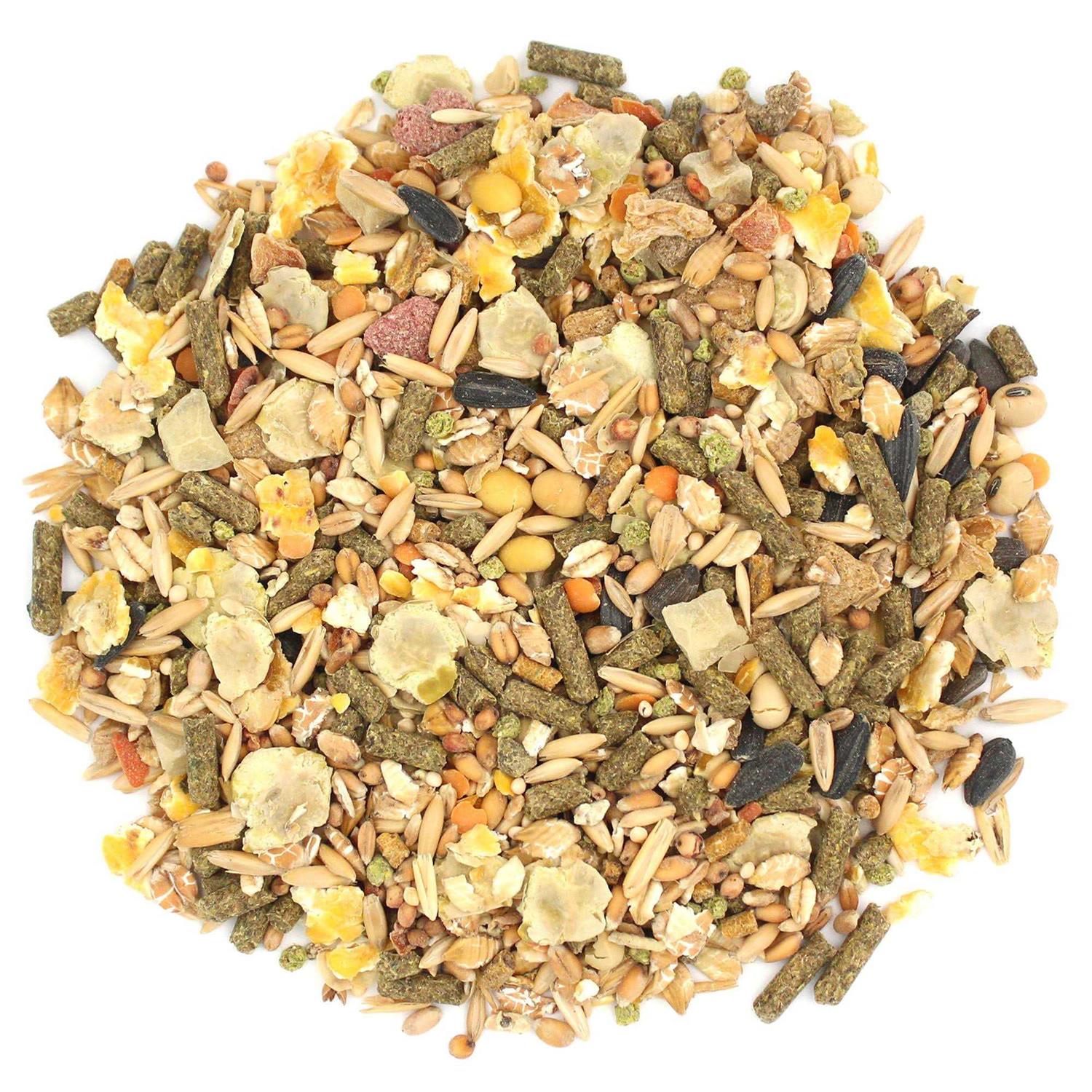 Sunseed Vita Prima Dwarf Hamster Food - Nail Gallerys