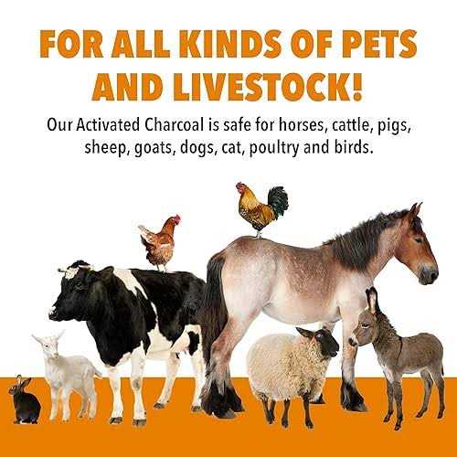 1qt VetDtox Activated Charcoal Powder for Pets & Livestock for poisonings - Nail Gallerys