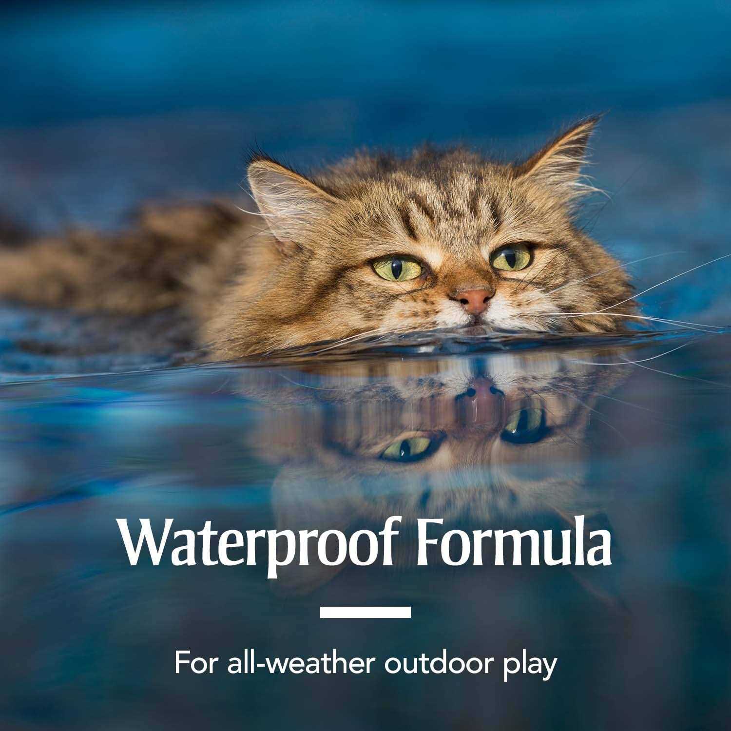 PetArmor Flea & Tick Spot Treatment for Cats - Nail Gallerys