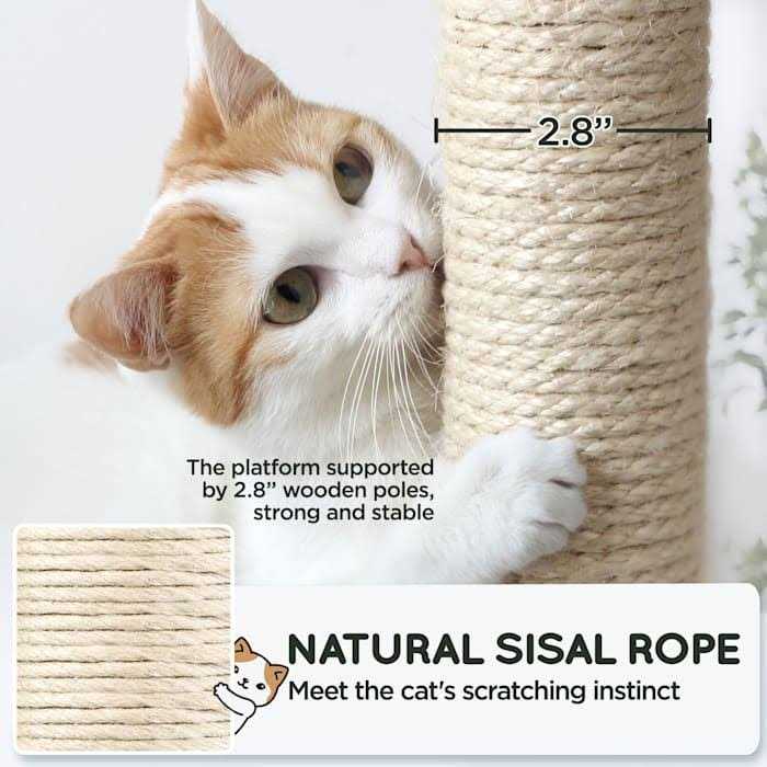Topeakmart Gray 4-Level Plush Cat Tree with Hammock for Kittens - Nail Gallerys