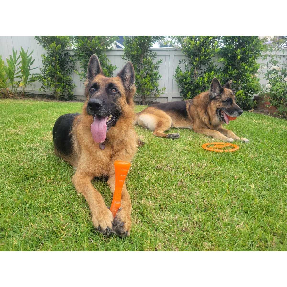 Bionic Urban Stick Dog Toy - Nail Gallerys