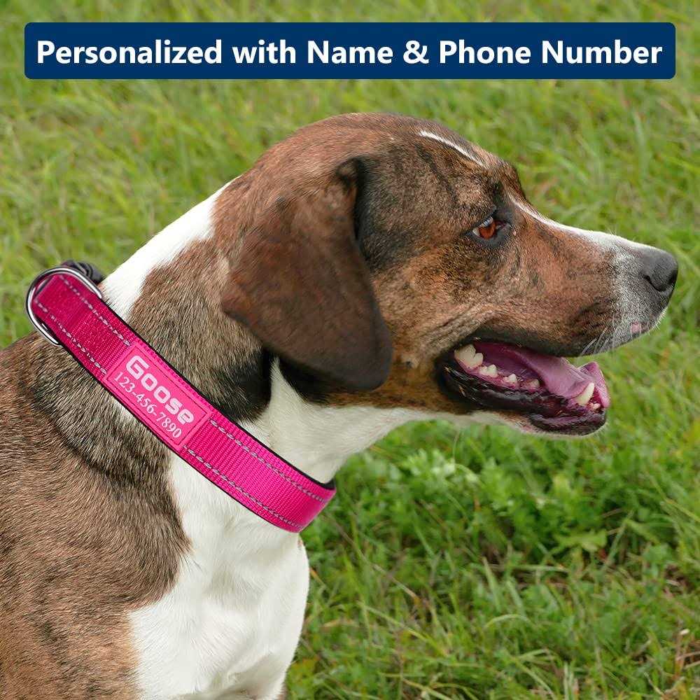 Personalized Dog Collars Custom with Pet Name and Phone Number Soft Neoprene Padded Reflective Nylon Collar - Nail Gallerys