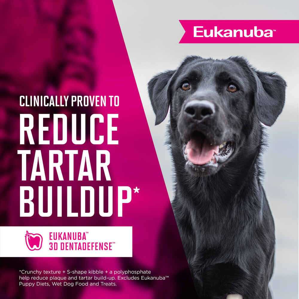 Eukanuba Adult Dry Dog Food - Nail Gallerys
