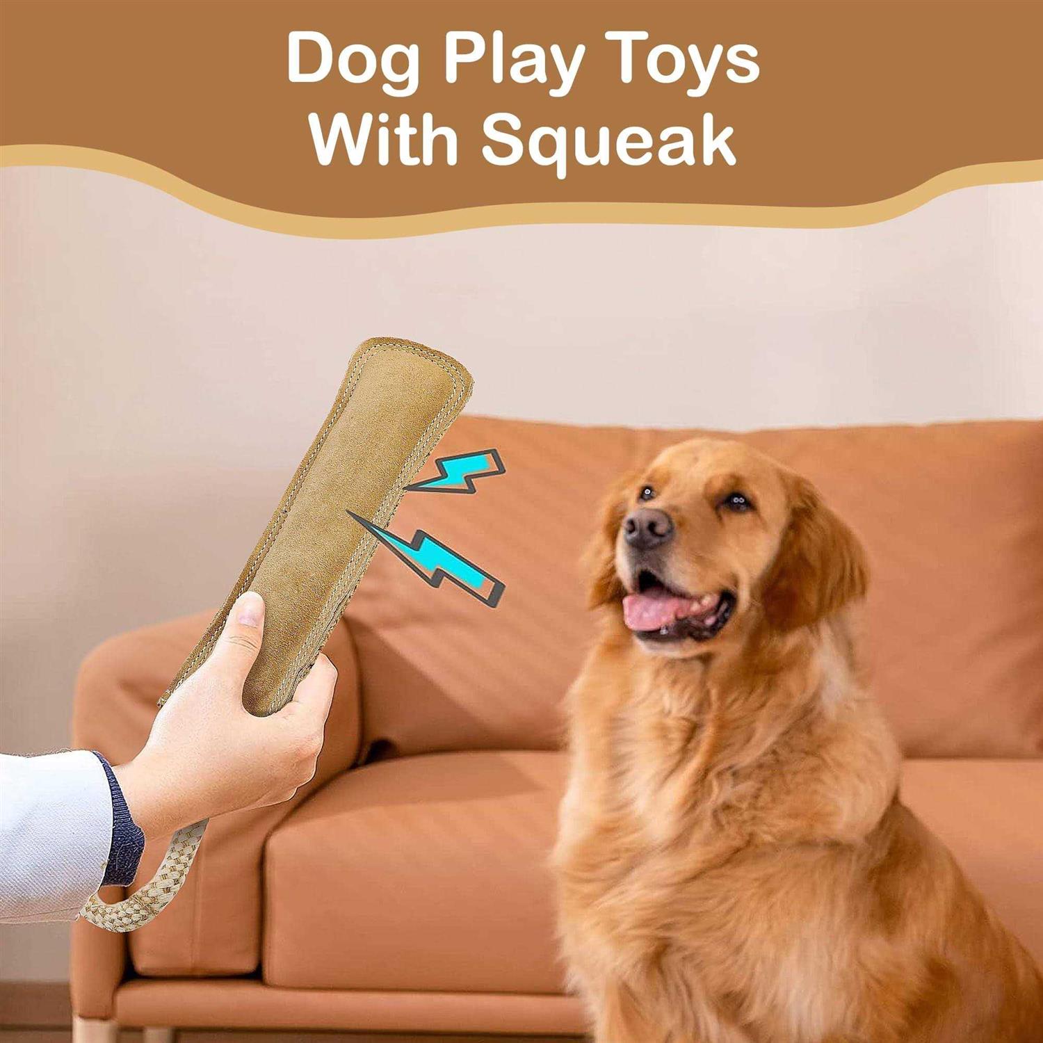 Spot Dura-Fused Leather Retriever Dog Toy - Nail Gallerys