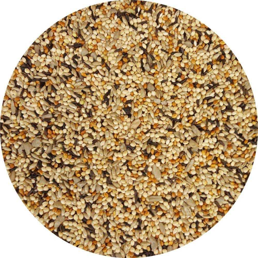 Wagner’s 10 lb. Finches Deluxe Wild Bird Food - Nail Gallerys