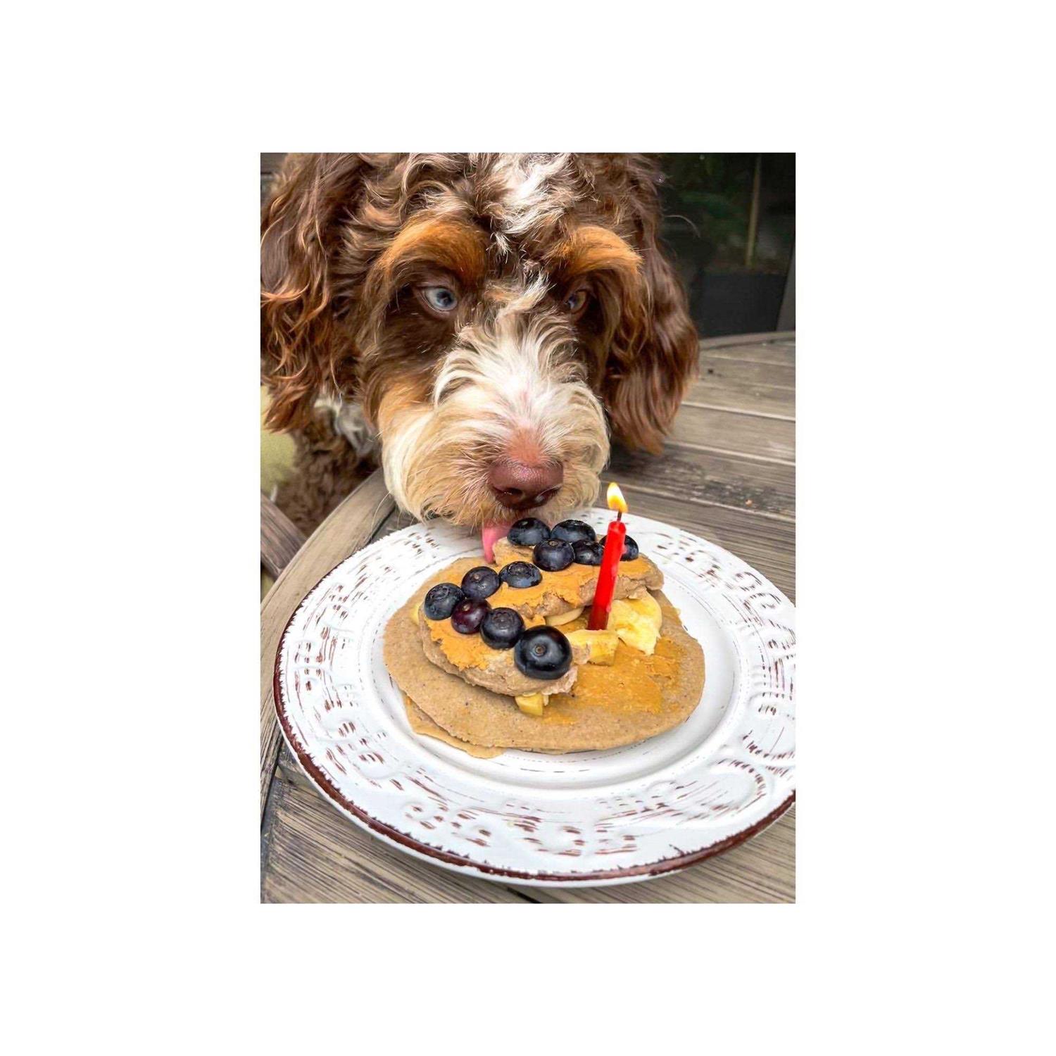 Bark Bistro Pooch Pancakes - Nail Gallerys