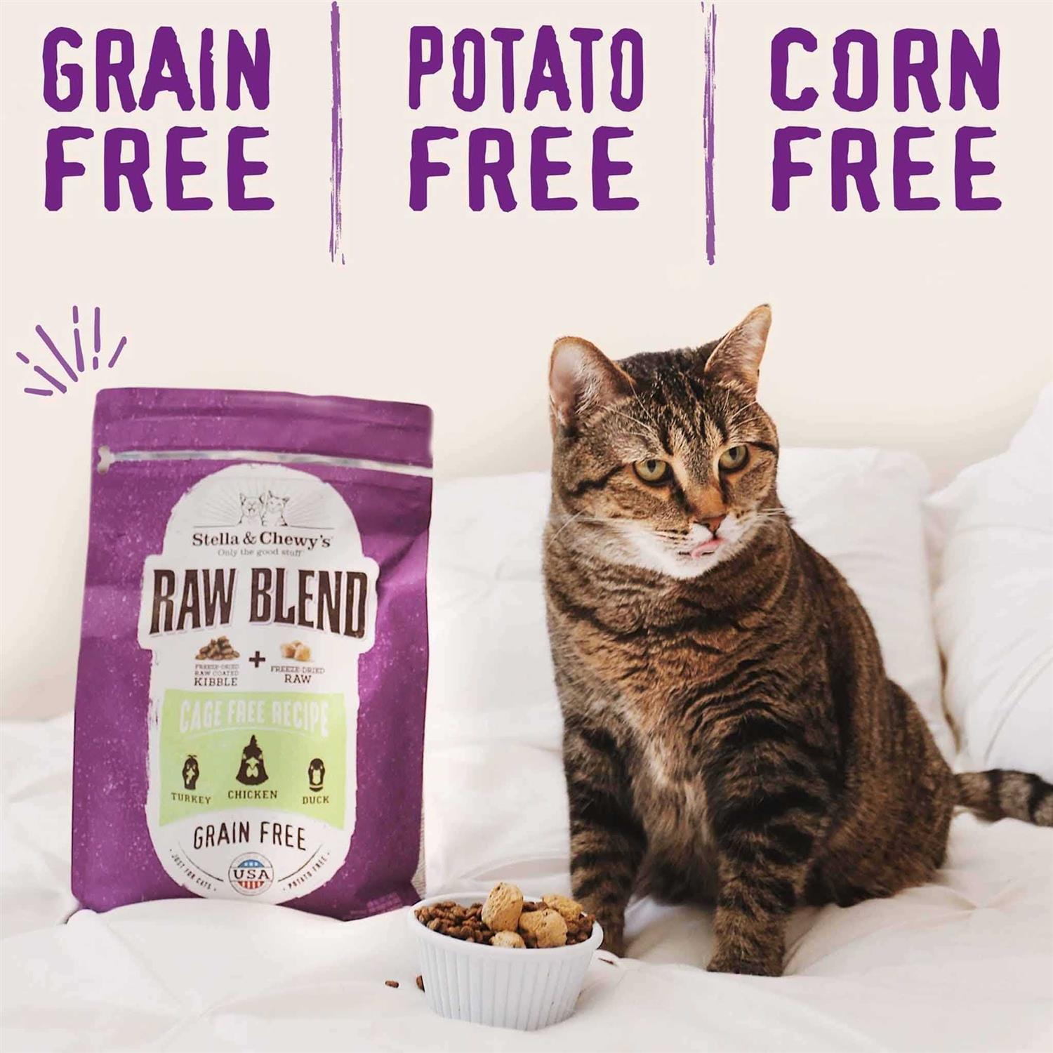 Stella Chewy’s Raw Blend Cage-Free Recipe Dry Cat Food - Nail Gallerys