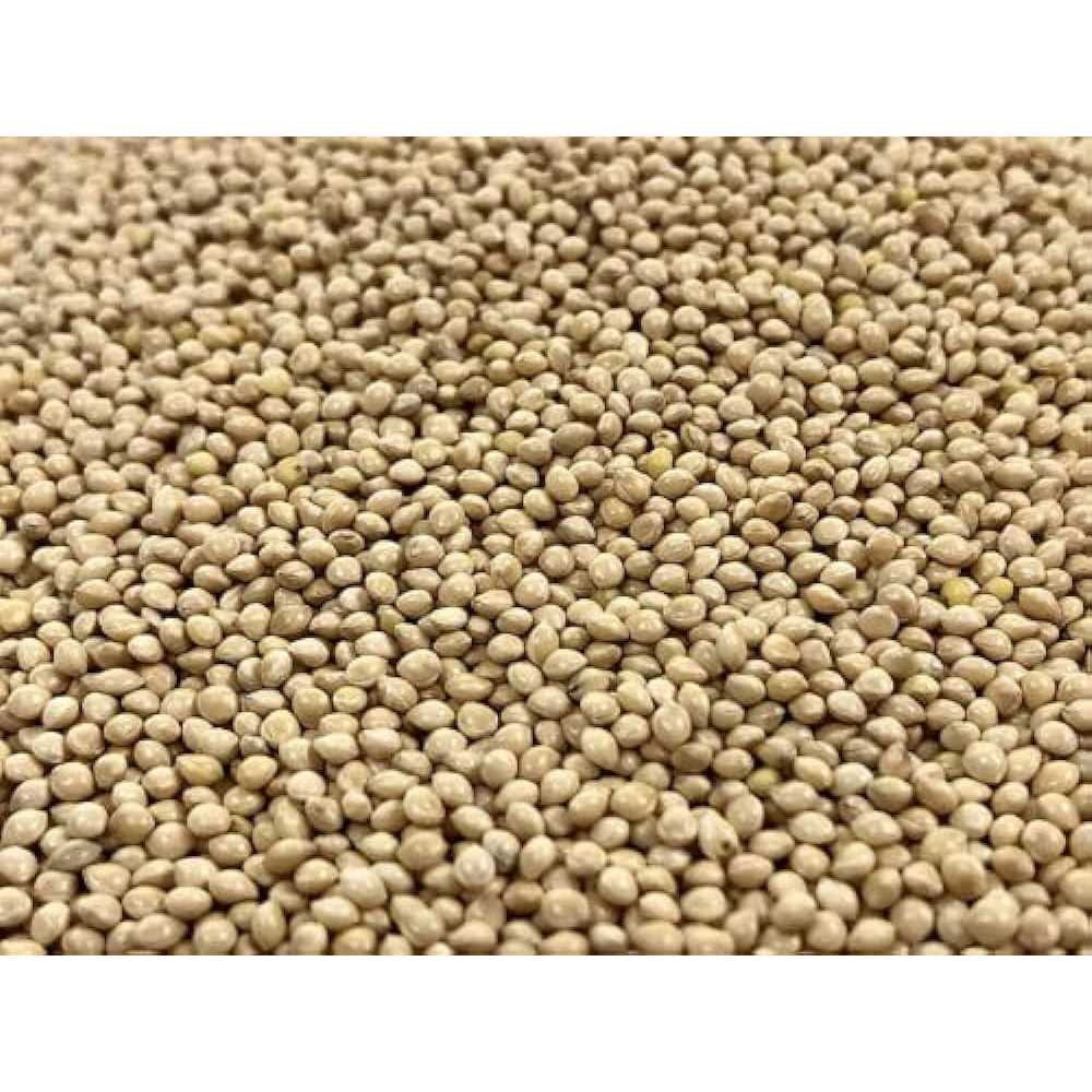KAYSO INC Premium White Proso Millet Bird Seed Feed,10lbs Bulk Bag - Nail Gallerys