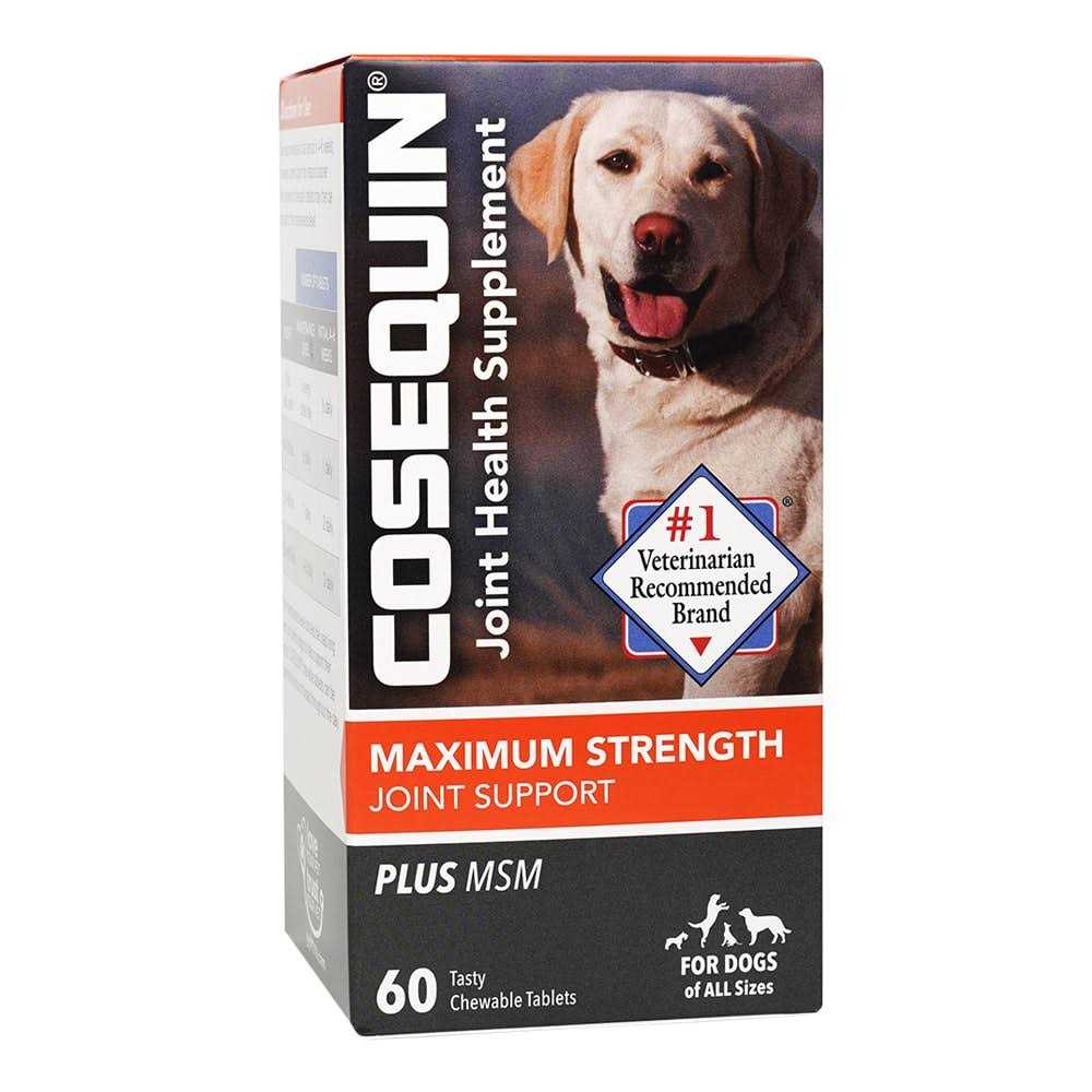 Cosequin Maximum Strength Joint Support Plus MSM - Nail Gallerys