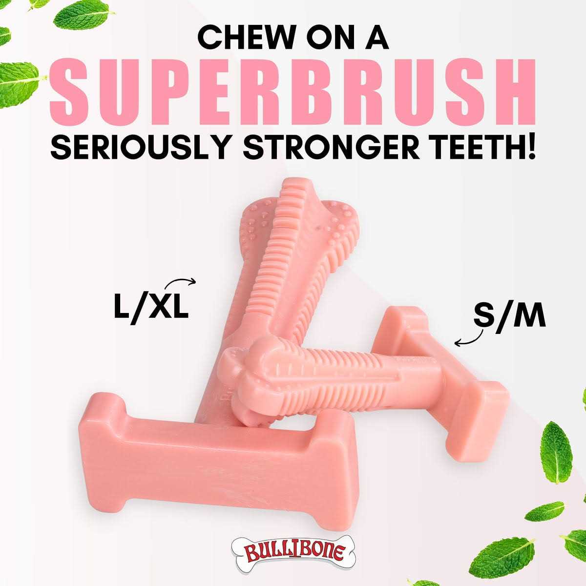 Bullibone SuperBrush Dog Teeth Cleaning Brushing Toothbrush Stick Long Lasting Nylon Chew Toy for Oral Care - Nail Gallerys