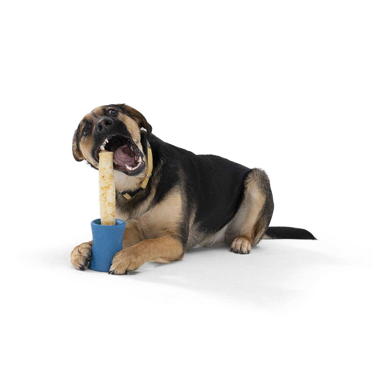 West Paw Funnl Dog Toy - Nail Gallerys