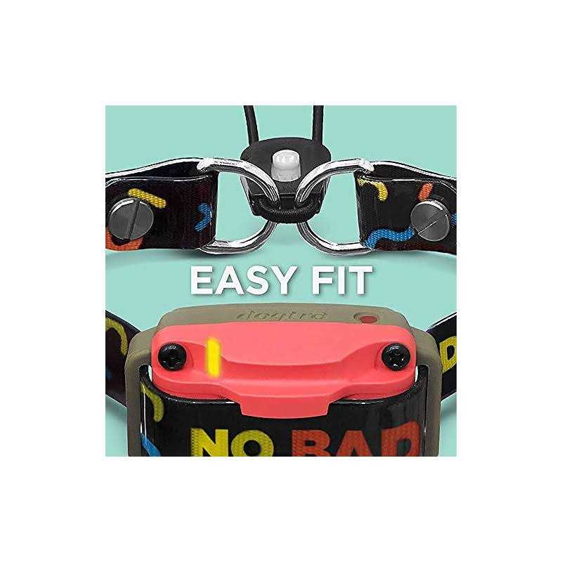 Dogtra Tom Davis 280C Remote Dog Training E-Collar Featuring Boost N’ Bungee Waterproof 127-Level 1/2-Mile Range - Nail Gallerys