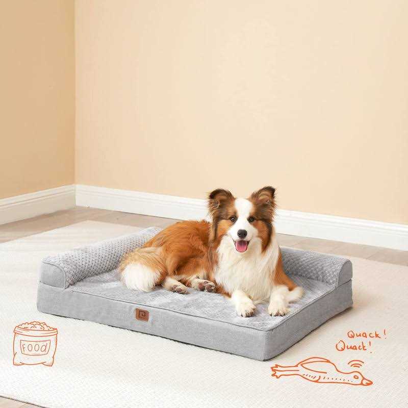 Asvin Small Dog Bed for Small Dogs, Cat Beds for Indoor Cats, Pet Bed for Puppy and Kitty - Nail Gallerys