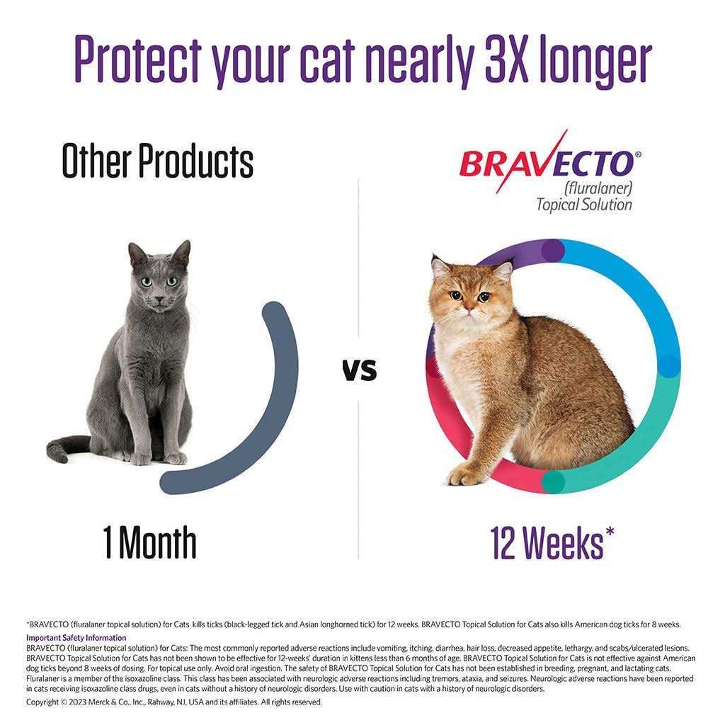 Bravecto Topical Solution for Cats - Nail Gallerys