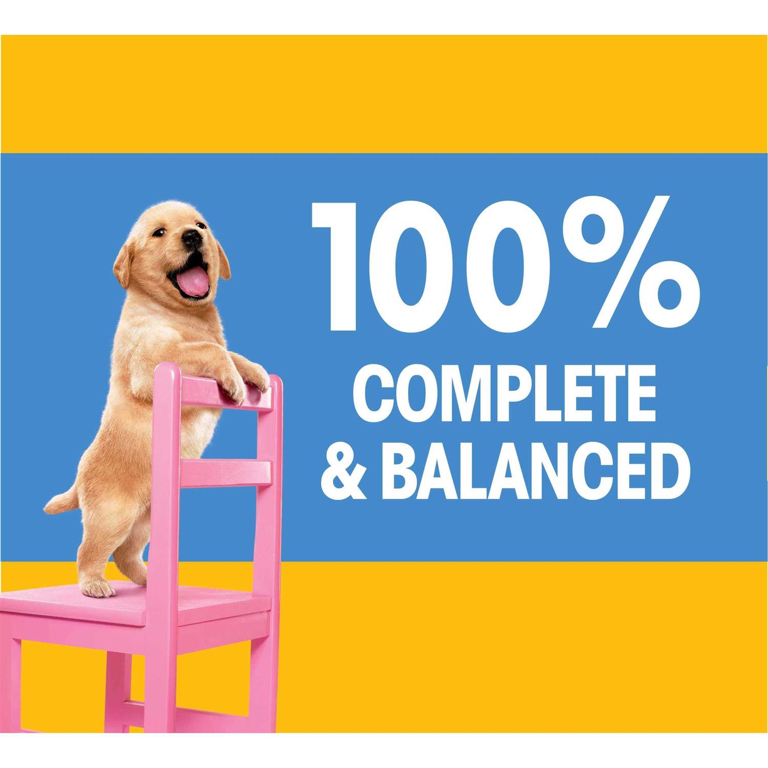 Pedigree Puppy Growth & Protection Dry Dog Food Chicken & Vegetable Flavor - Nail Gallerys