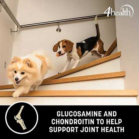 4health Wholesome Grains Adult Lamb and Rice Formula Dry Dog Food - Nail Gallerys