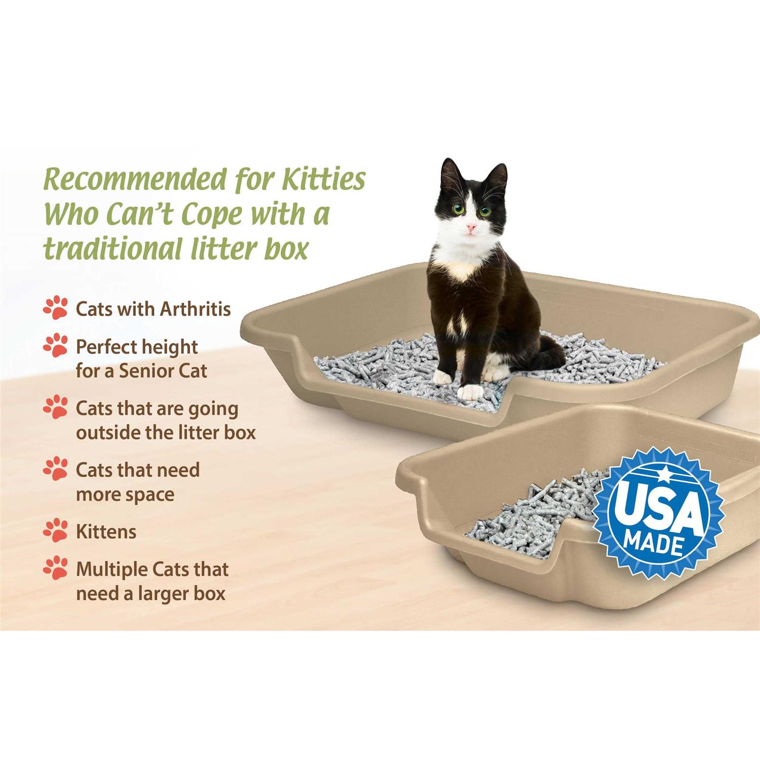 Kitty Go Here Senior Cat Litter Box - Nail Gallerys
