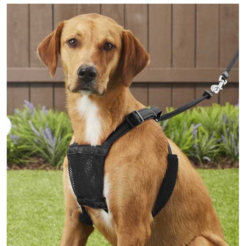 Sporn Stop-Pulling! Dog Harness - Nail Gallerys