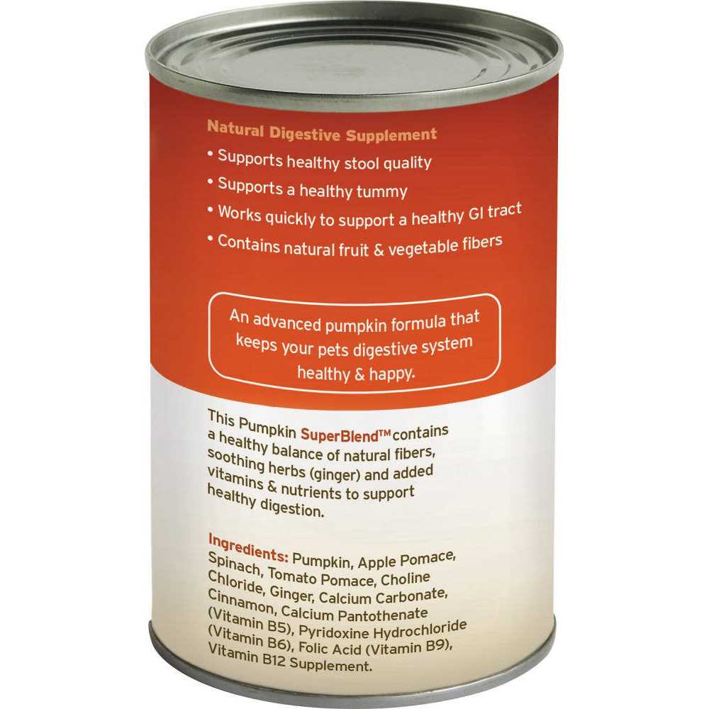 Fruitables Pumpkin Digestive Supplement - Nail Gallerys