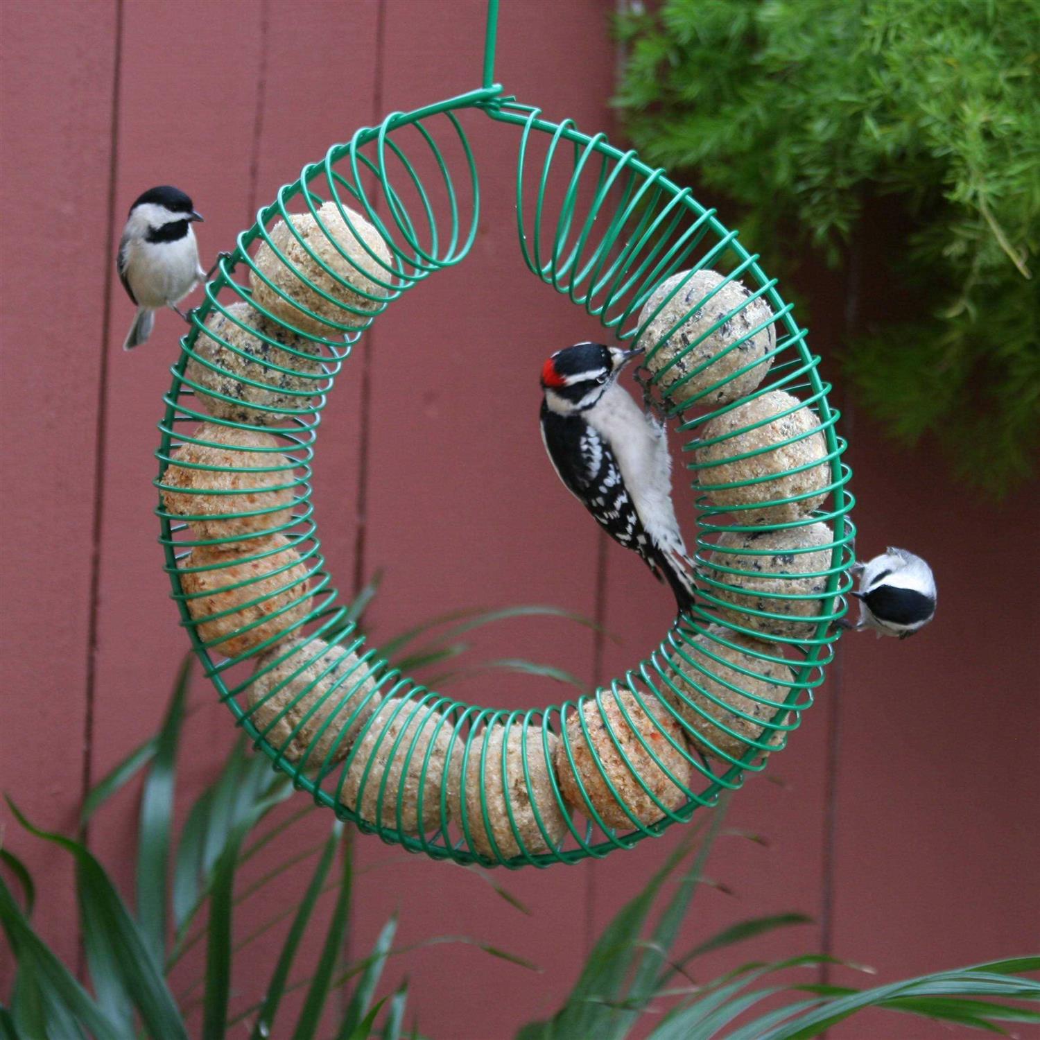 Pacific Bird & Supply Co Smorgasbug Suet Balls - Nail Gallerys