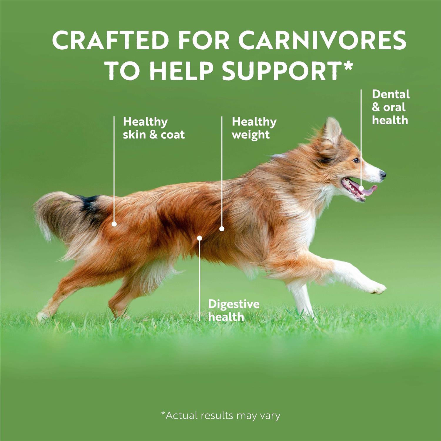 Ziwi Peak Recipe Canned Dog Food - Nail Gallerys