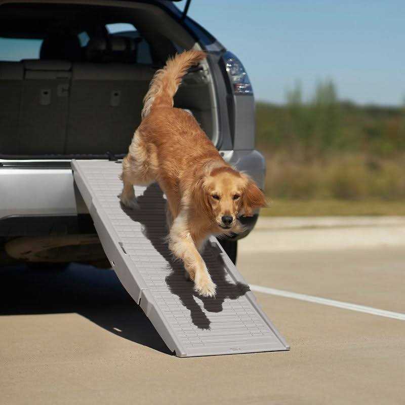 Frisco Tri-Fold Travel Dog Car Ramp - Nail Gallerys
