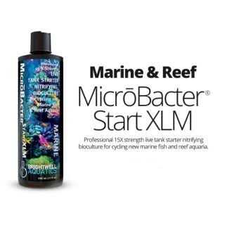 Brightwell Aquatics MicroBacter Start XLM - Nail Gallerys