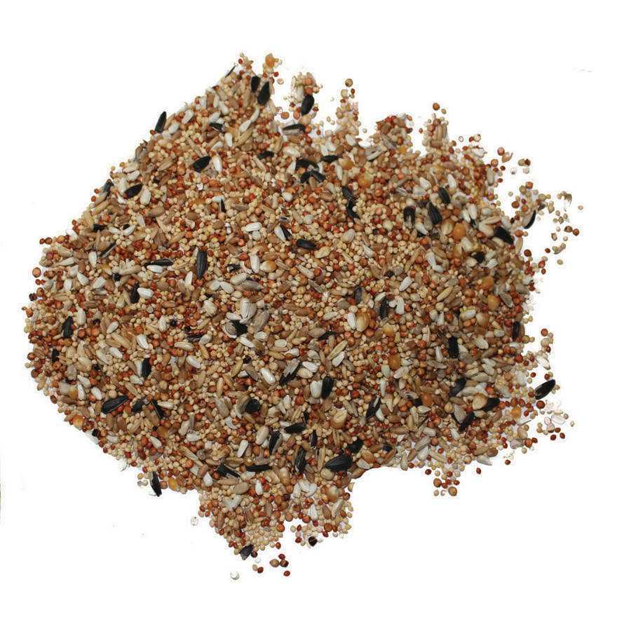 3-d Pet Products Premium Dove & Quail Food - Nail Gallerys