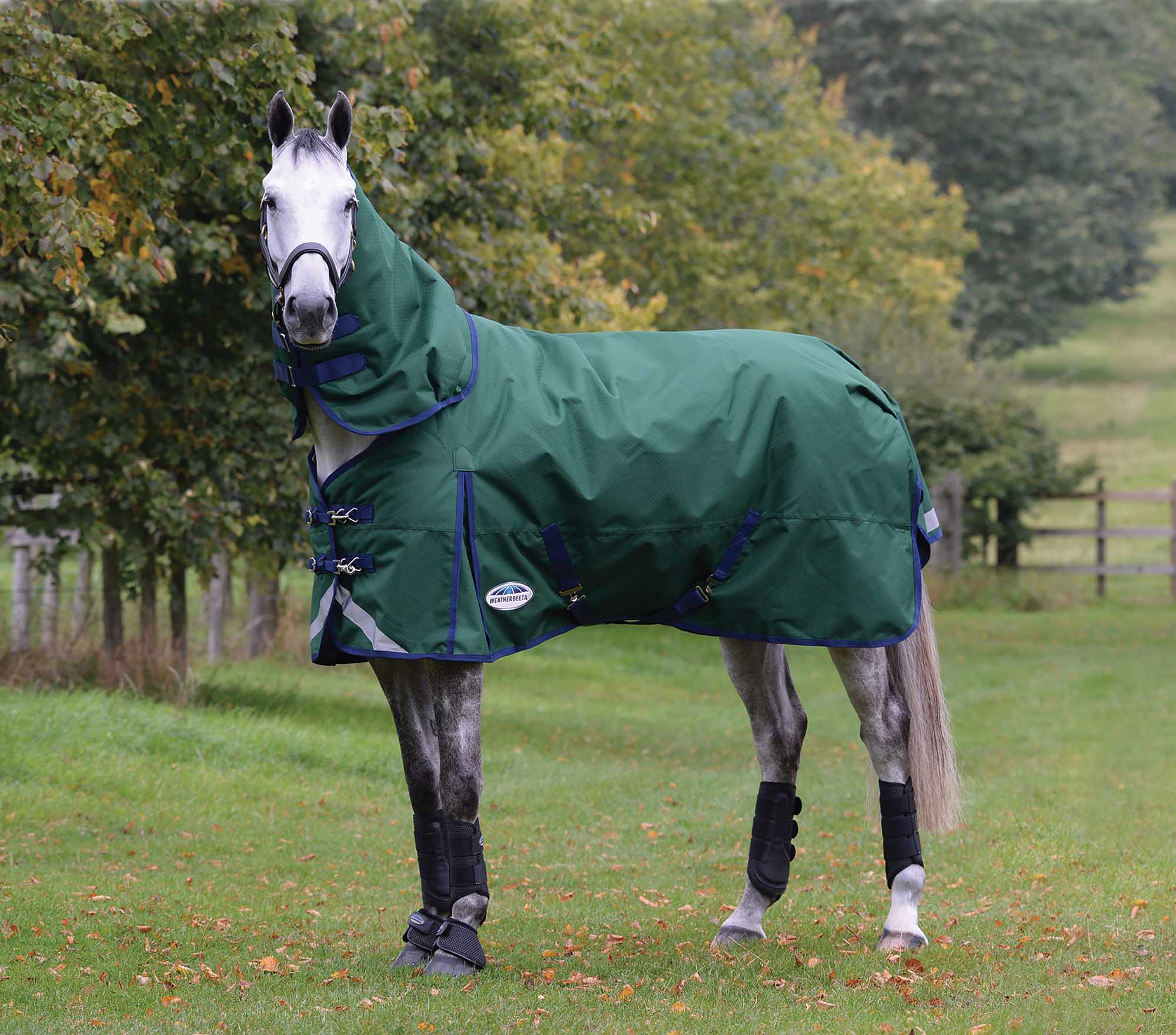 Weatherbeeta ComFITec Plus Dynamic II Detach-A-Neck Heavy Turnout Blanket for Horses - Nail Gallerys