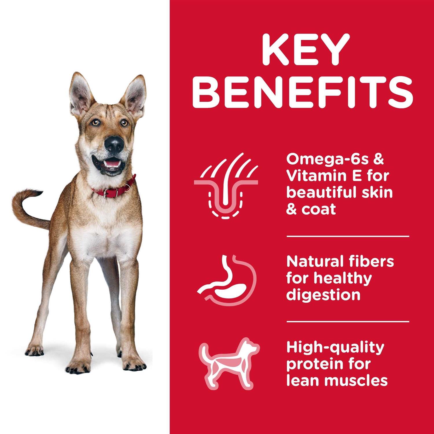 Hill’s Science Diet Adult Chicken & Barley Dry Dog Food - Nail Gallerys