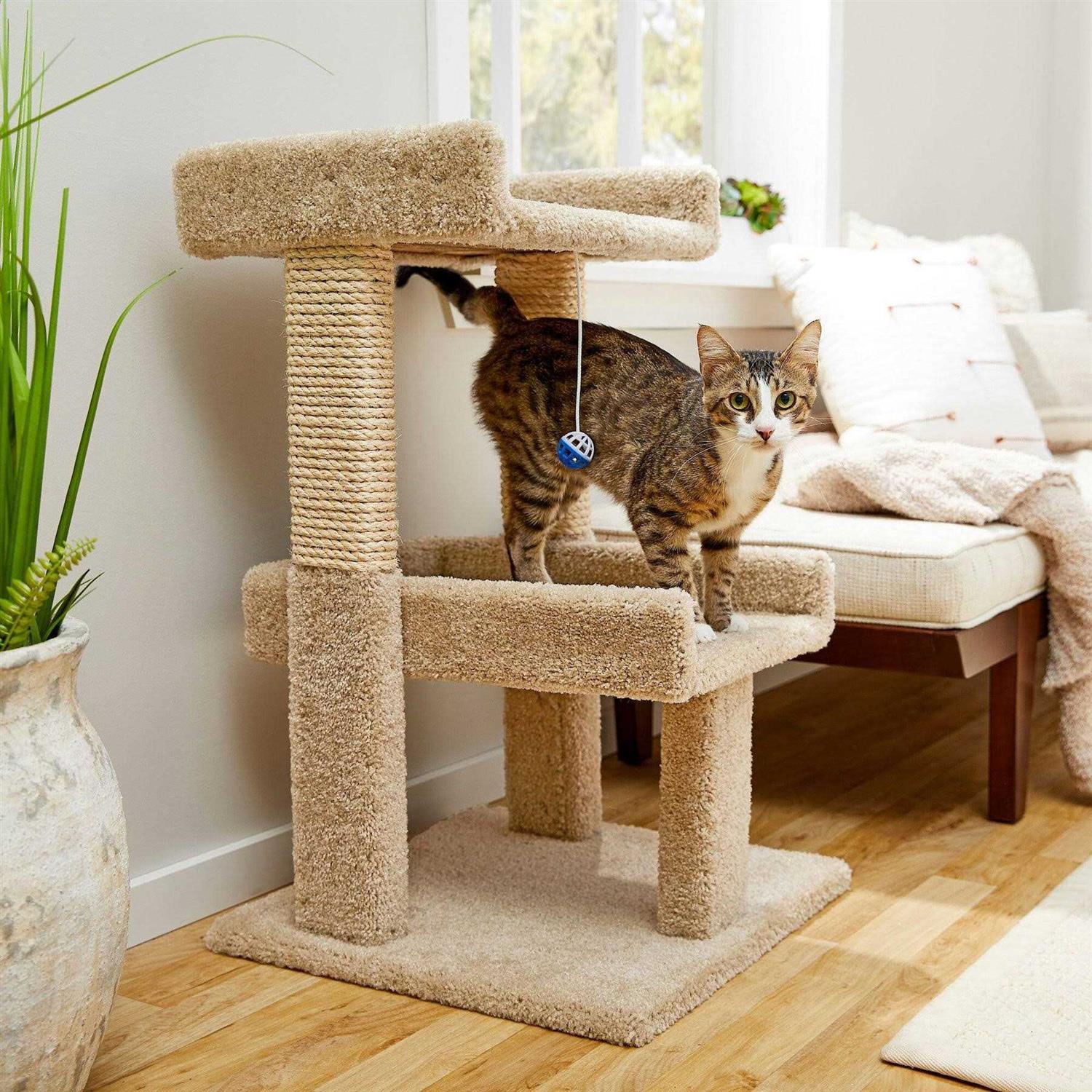 Frisco 32-in Real Carpet Wooden Cat Tree with Toy - Nail Gallerys