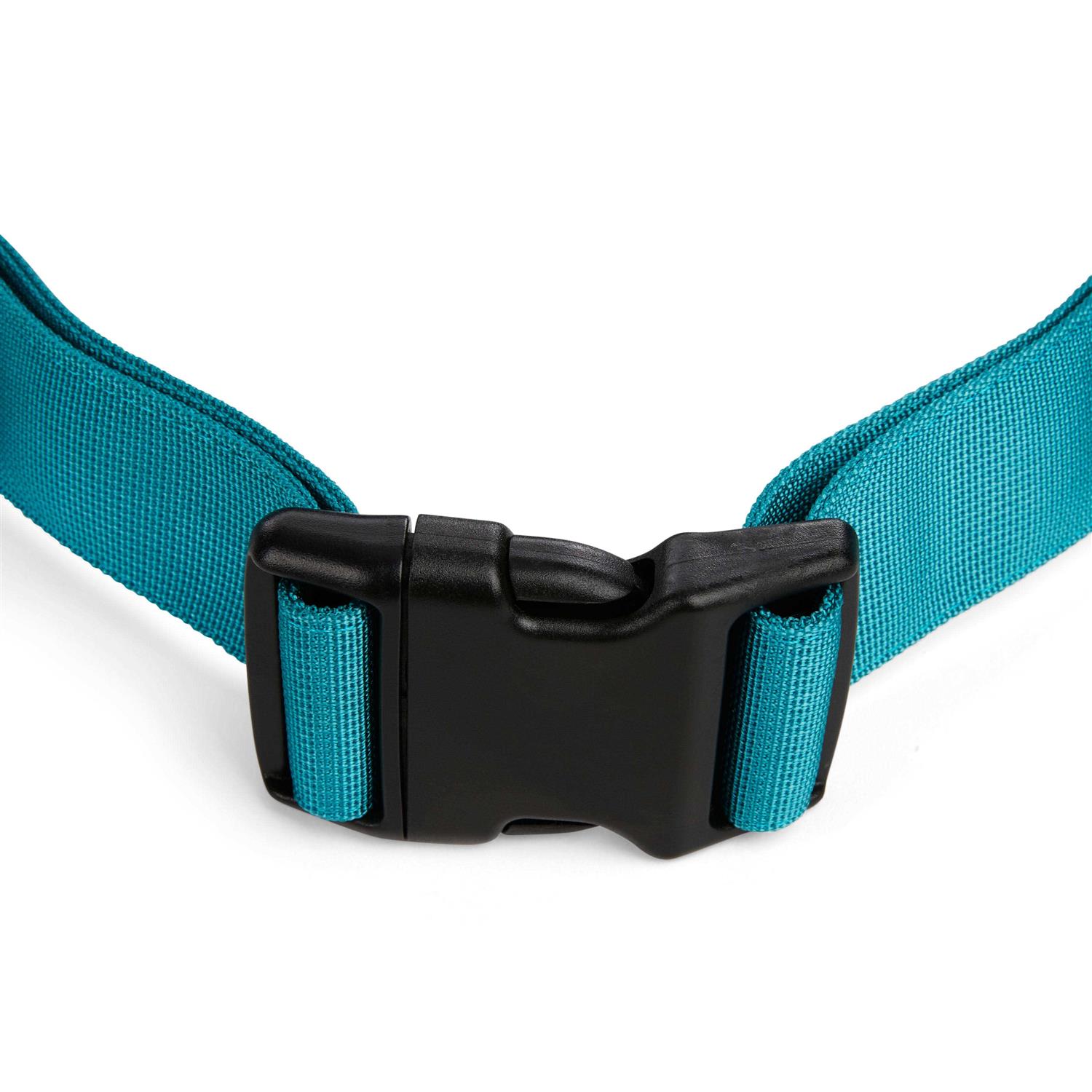 EveryYay Settin’ the Pace Running Belt & Leash Set for Dogs - Nail Gallerys