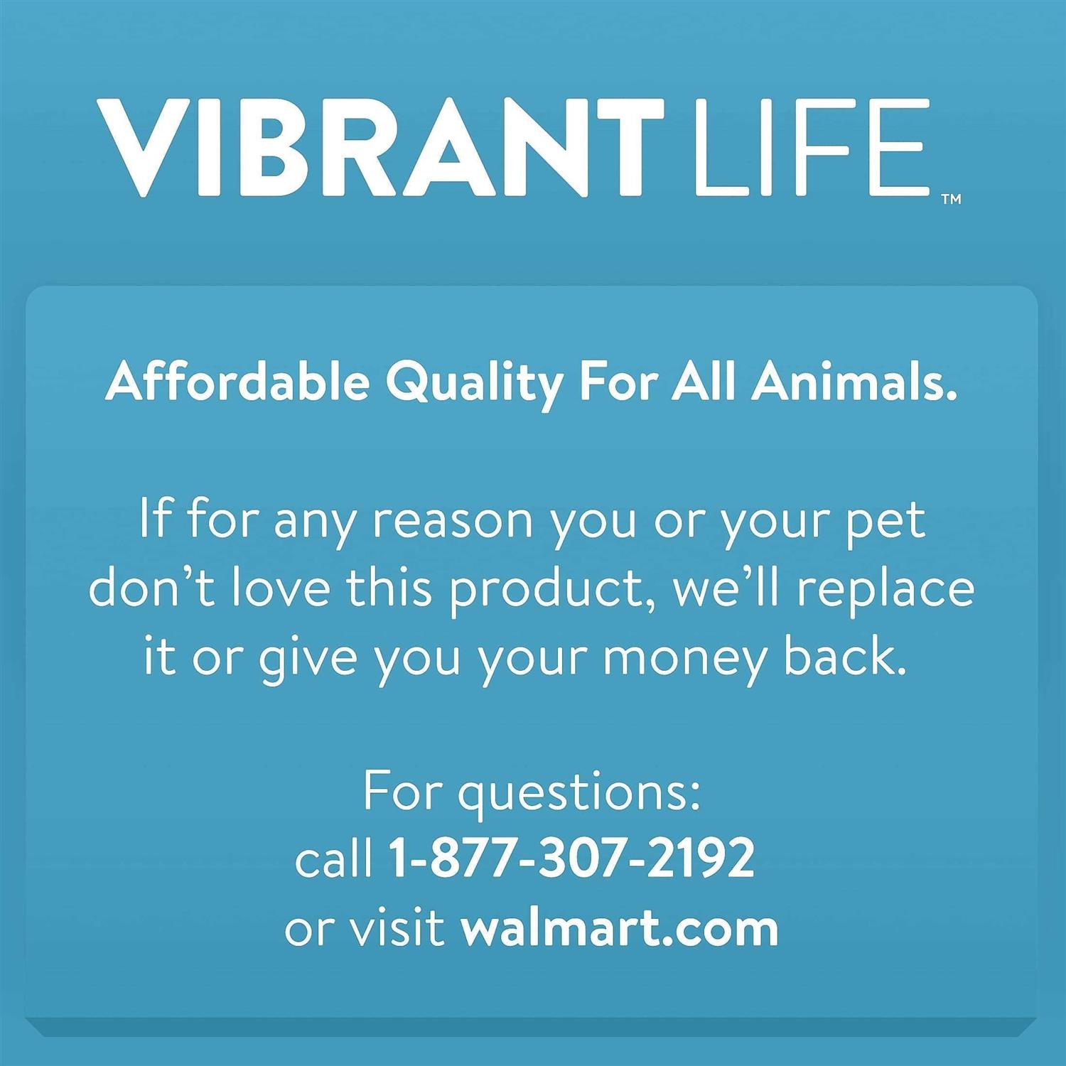 Vibrant Life Lounger Pet Bed - Nail Gallerys