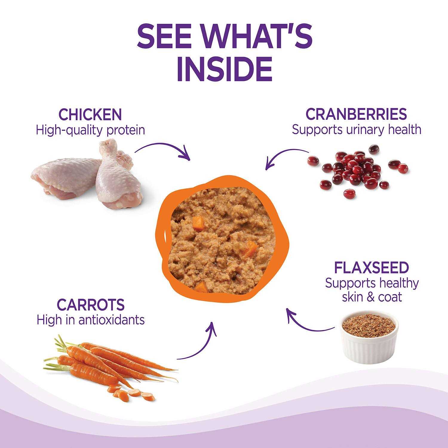 Wellness Complete Health Pâté - Nail Gallerys