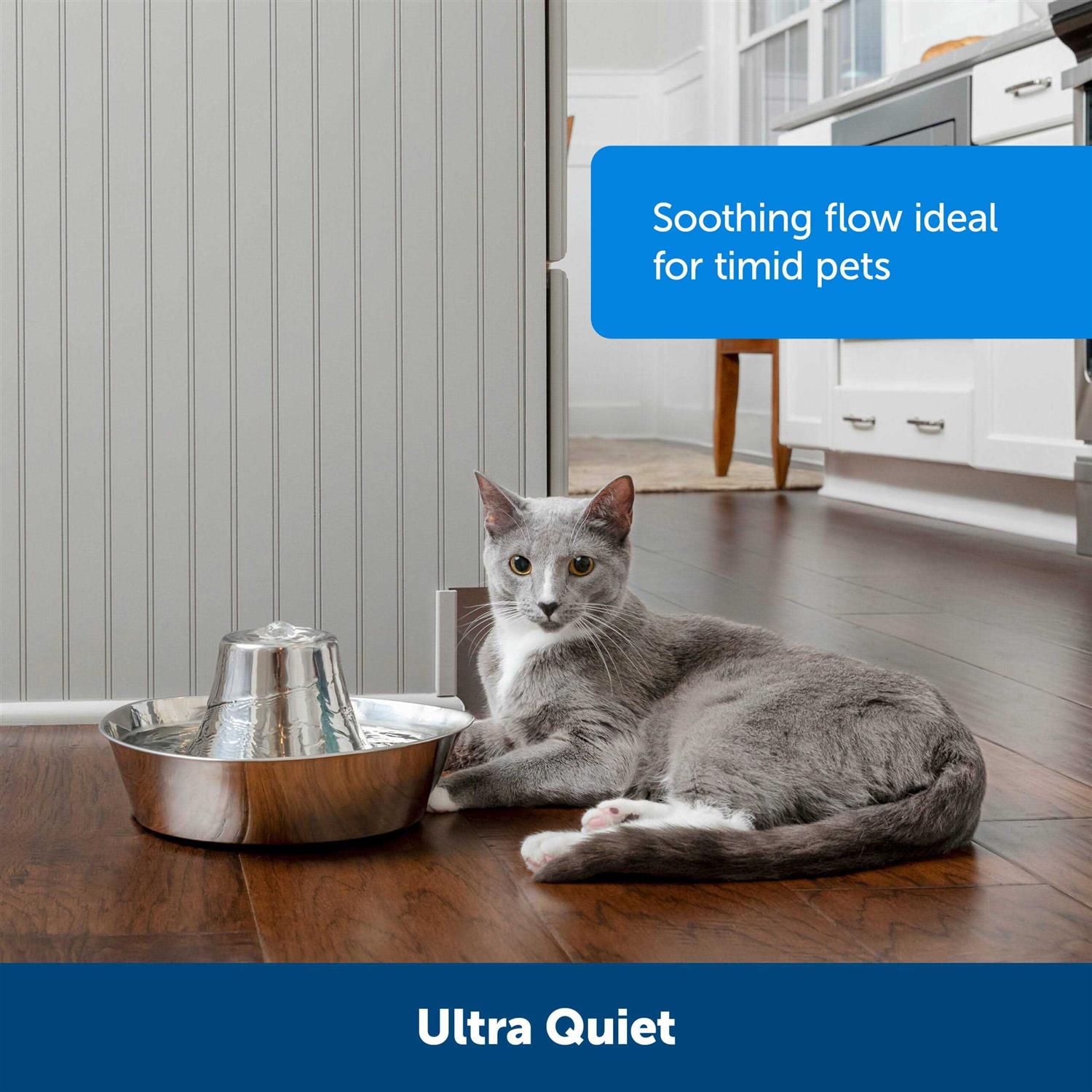 PetSafe Seaside Stainless Pet Fountain - Nail Gallerys