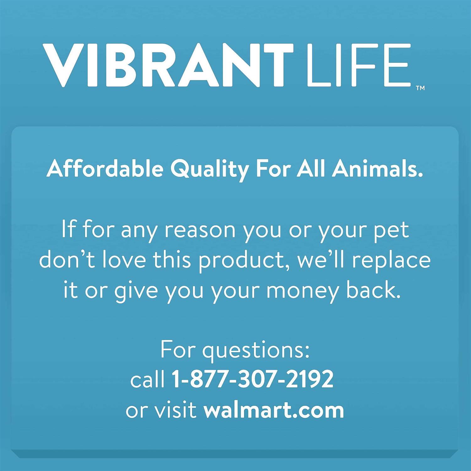 Vibrant Life Bolstered Bliss Mattress Edition Dog Bed - Nail Gallerys