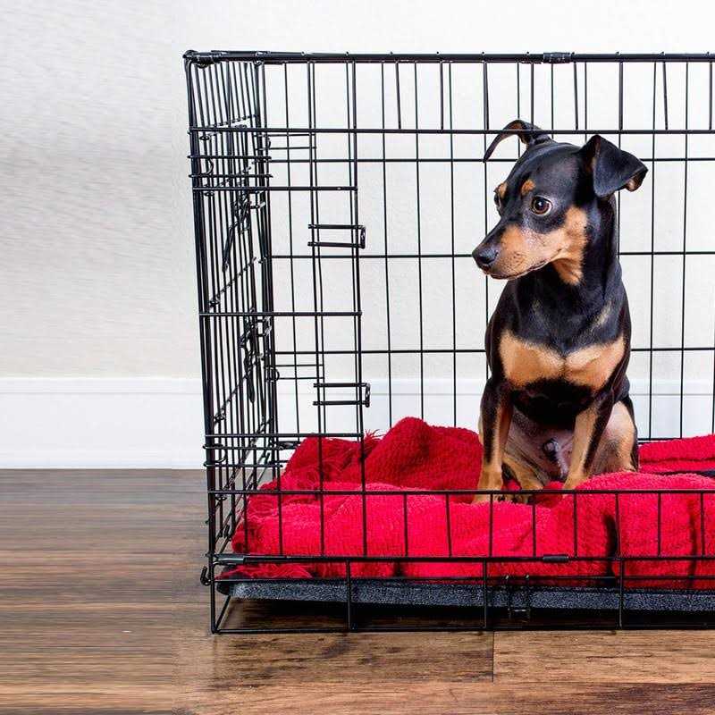 Paws & Pals Replacement Tray for Dog Crate Pans Medium 24 Inch Plastic Bottom Pan Floor Liners for Pet Cages Crates Kennels Dogs Cat Rabbit Ferret - Nail Gallerys