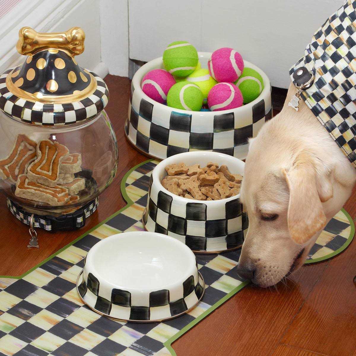 MacKenzie-Childs Check Pet Dish - Nail Gallerys
